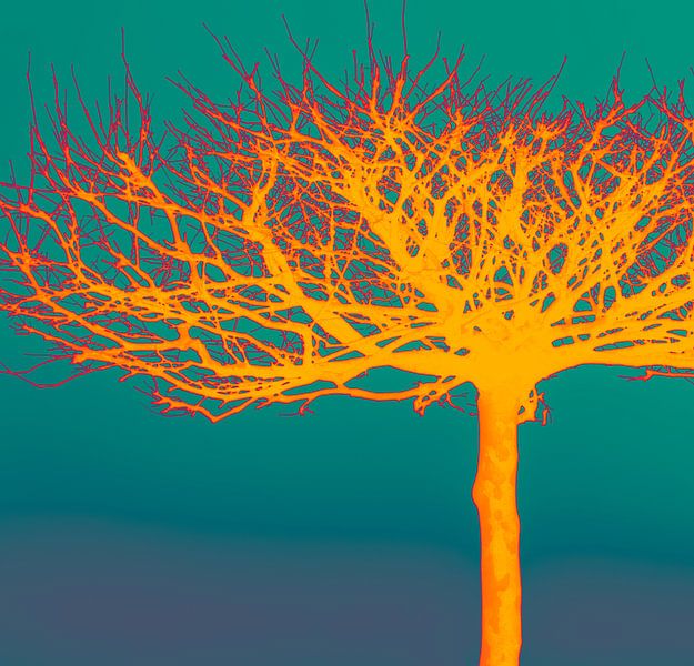 Naturschönheit - bunte Töne von Kirsten Warner