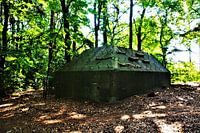 Bunker in het Kocherbos