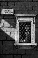 Chien dans la fenêtre