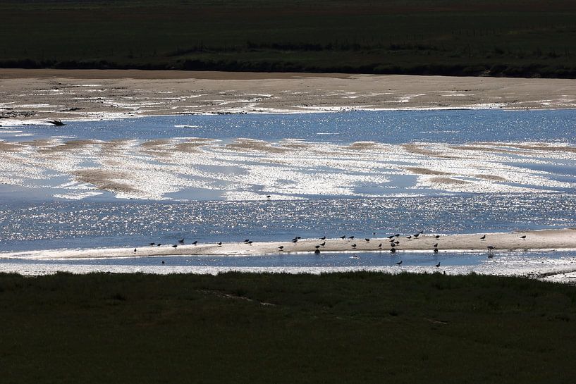 North Sea Coast in Holland by Thomas Jäger