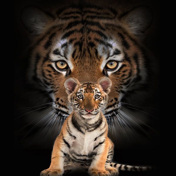 Mutter mit Tigerkind von Bert Hooijer