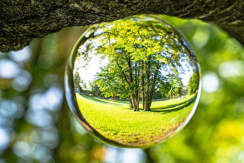 L'été dans le parc (1) par Monika Scheurer