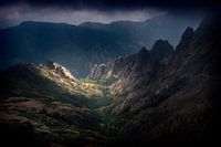 Licht in de Duisternis