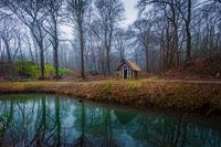Klein huisje op Landgoed Elswout