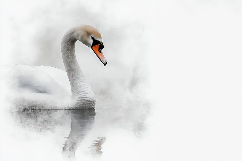 cygne par LidyStuit