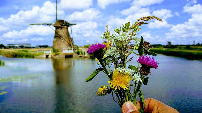 Kinderdijk Postkarte von Milind Padalikar