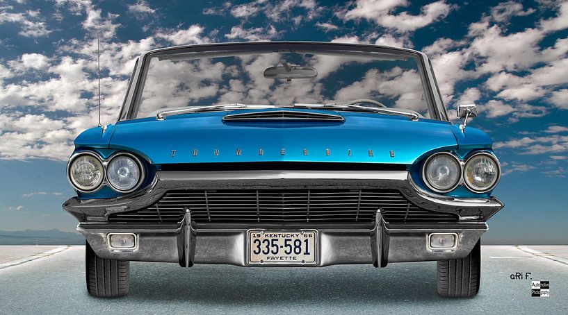 Ford Thunderbird Flair Bird by aRi F. Huber