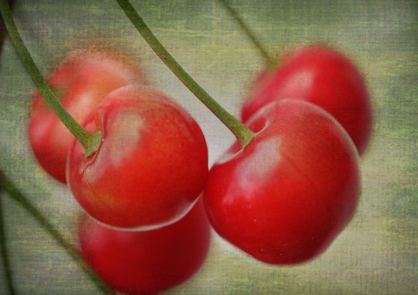 Rote Kirschen3 von Roswitha Lorz
