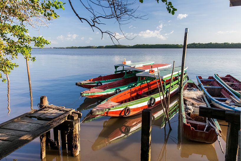 Bateaux sur la rivière Commewijne, Suriname par Marcel Bakker
