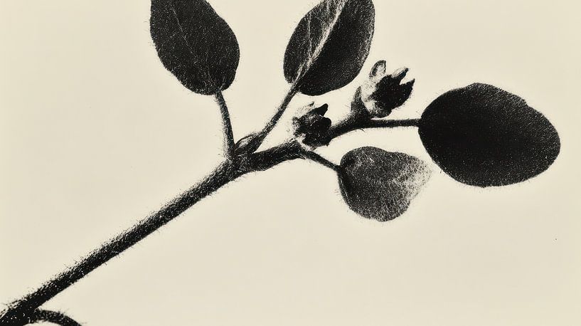 Minimal nature by Franka Poulain