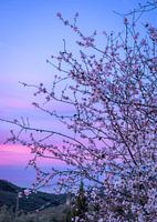 Ein schöner Start in den Valentinstag in Andalusien