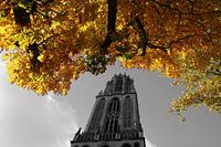 Domtoren met herfst kleuren