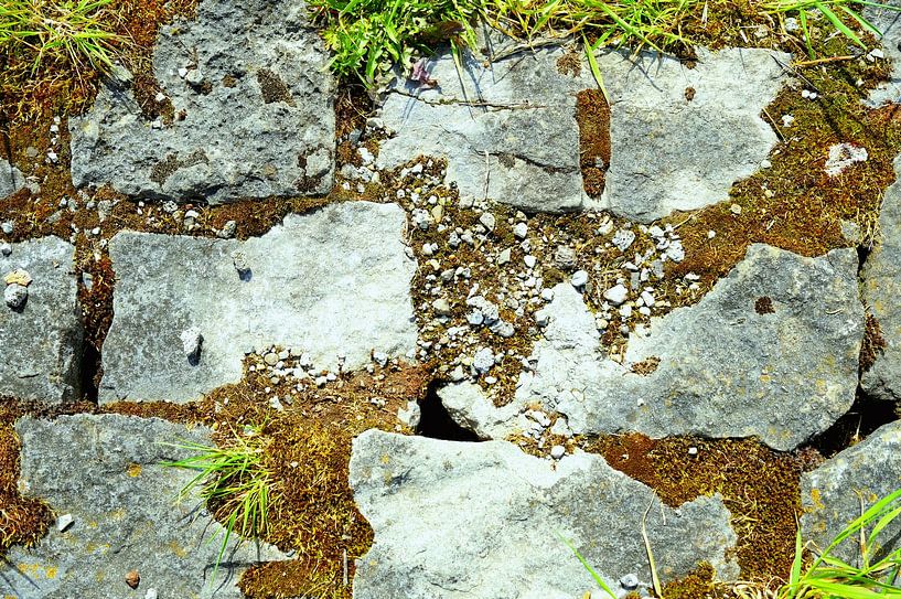 Colourful stones stand out by Esther Rook