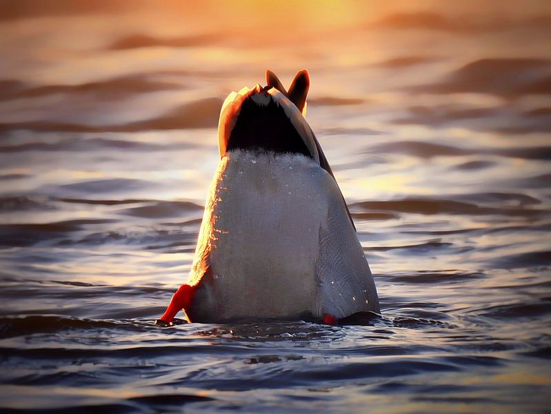 L'envers du décor par Maickel Dedeken