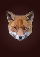 Renard, illustration