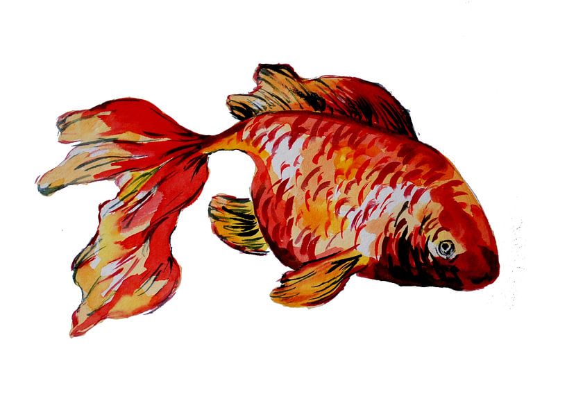 Roter Goldfisch von Sebastian Grafmann