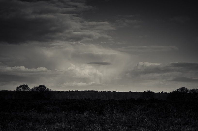 Ermelosche Heide by Rianne Hazeleger