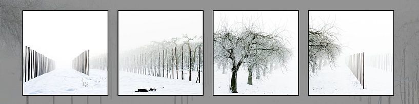Grafische schwarz-weiße Serie von Landschaften im Schnee von Saskia Nelissen