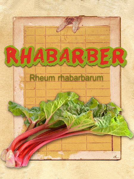 Küchenbild Rhabarber von Dirk H. Wendt