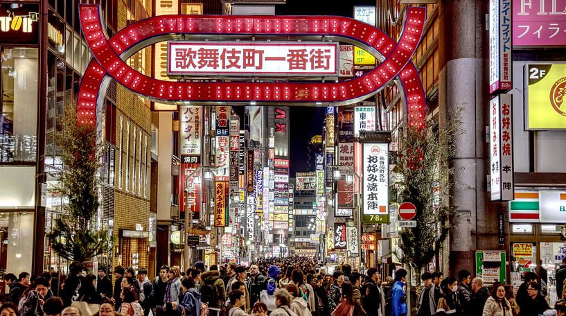 Neon Winter - Kabukichō dans la lumière par Hans van Oort
