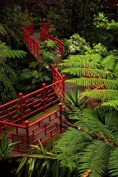 De Monte Palace Tropische Gärten, Madeira von Nynke Altenburg