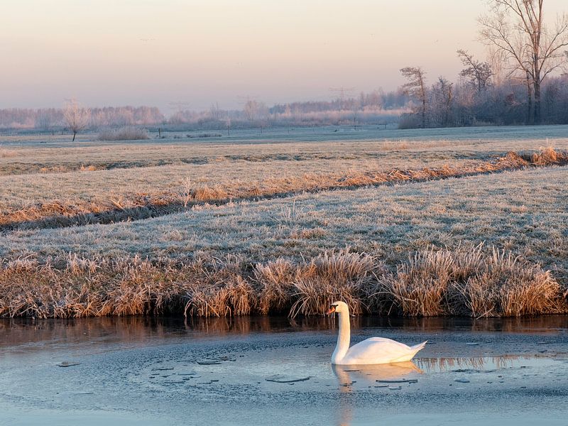 Herbstlandschaften Estate Her Pillars, Utrecht von Roland de Zeeuw