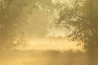 Vision mit Nebel in geschichtetem Land