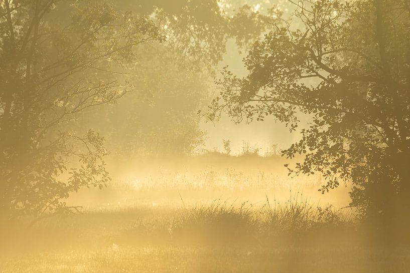 Une vision avec du brouillard dans une terre stratifiée par Karla Leeftink