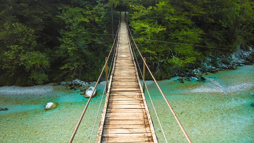 Seilbrücke von rosstek ®