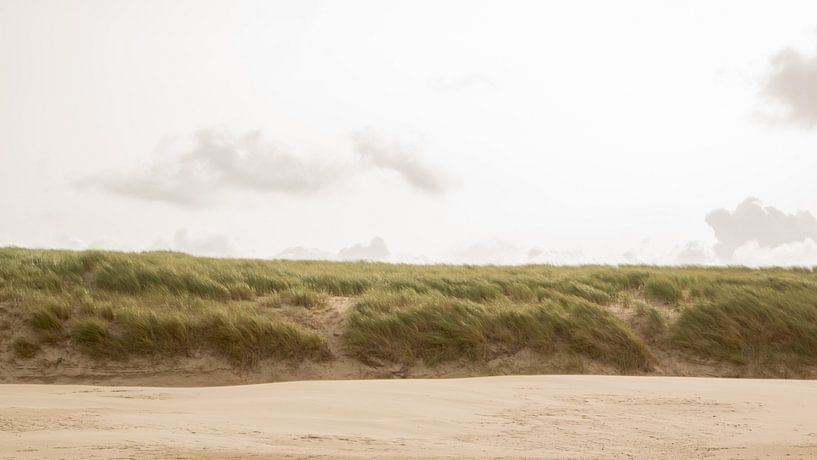 Dune area by Michelle Hovius