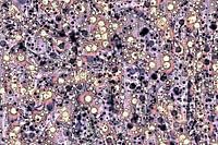 Abstract City Lights Lilac