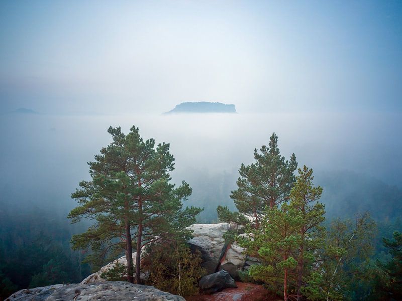 Blick vom Gamrig zum Lilienstein (Sächsische Schweiz/ Elbsandsteingebirge) von t.ART