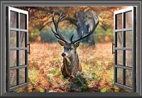 Différentes versions de Windows