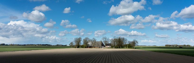 Game of light by Bo Scheeringa Photography