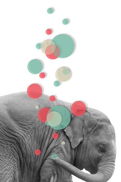 Der Bubblephant von Marja van den Hurk