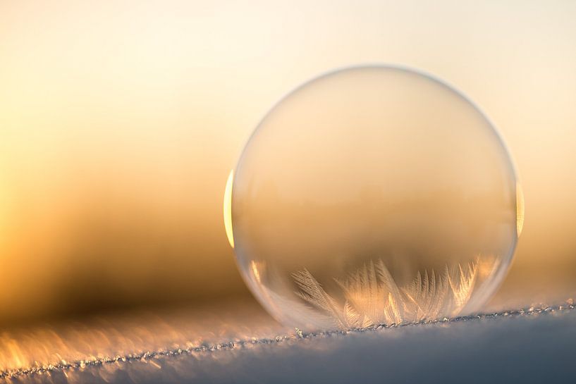 Eiskalte Blase von Gerry van Roosmalen