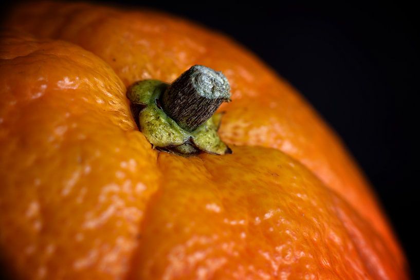 Lebensquelle von Jaap Kloppenburg