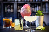 : portraits de cocktails