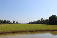 Surroundings Ankor Wat