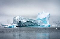 Antarctica 4