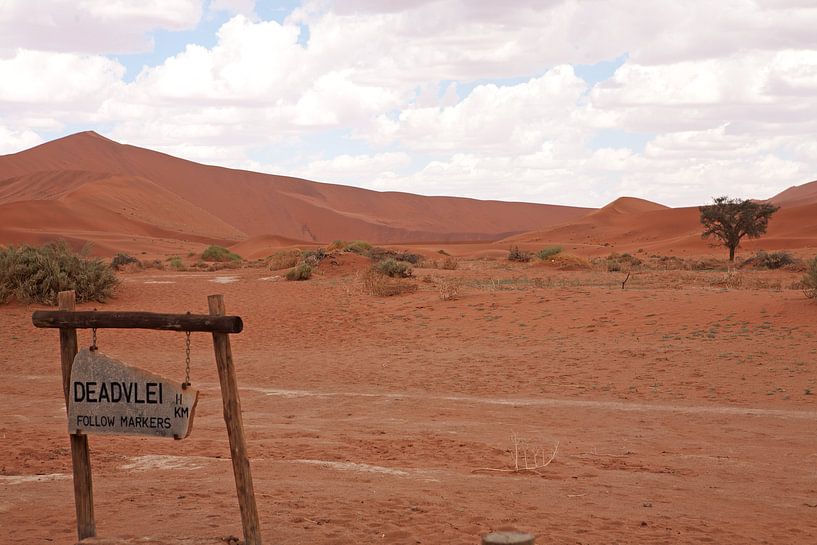 Panneau indicateur vers le néant - A l'entrée de la Dead Vlei par WeltReisender Magazin