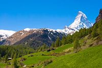 Idylisch Zwitsers landschap met uitzicht over de Matterhorn