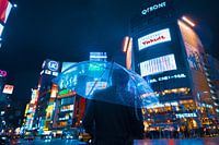 Shibuya Crossing in Tokyo, Japan