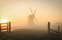 Neblige niederländische Landschaft