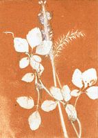 Feuilles botaniques orange