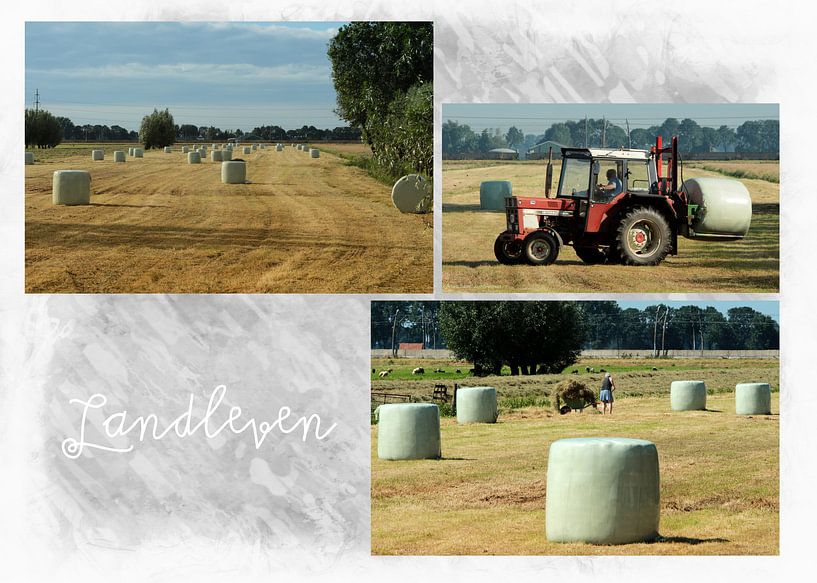 Landleven par Yvonne Blokland