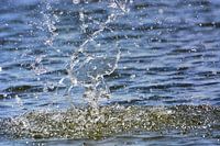 spetterend maaswater