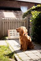 La lumière du soleil me rend heureux