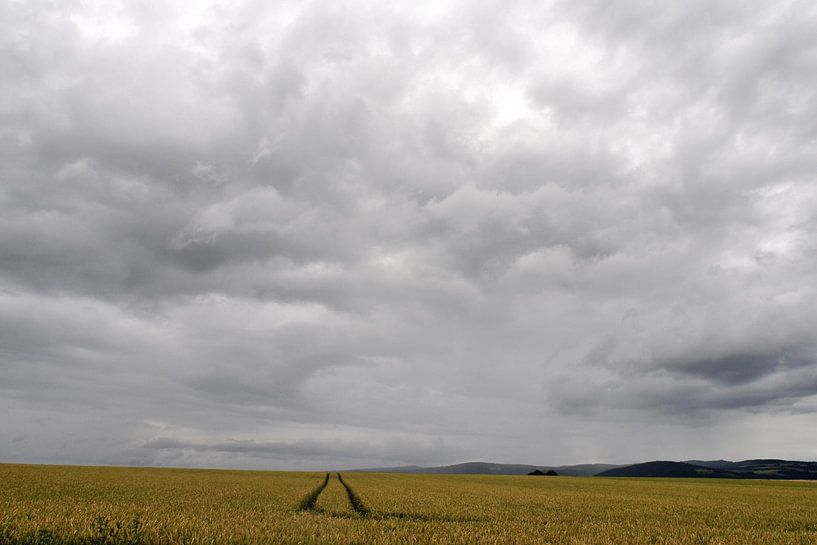 Daily life by JRobert Photography