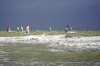Windsurfers